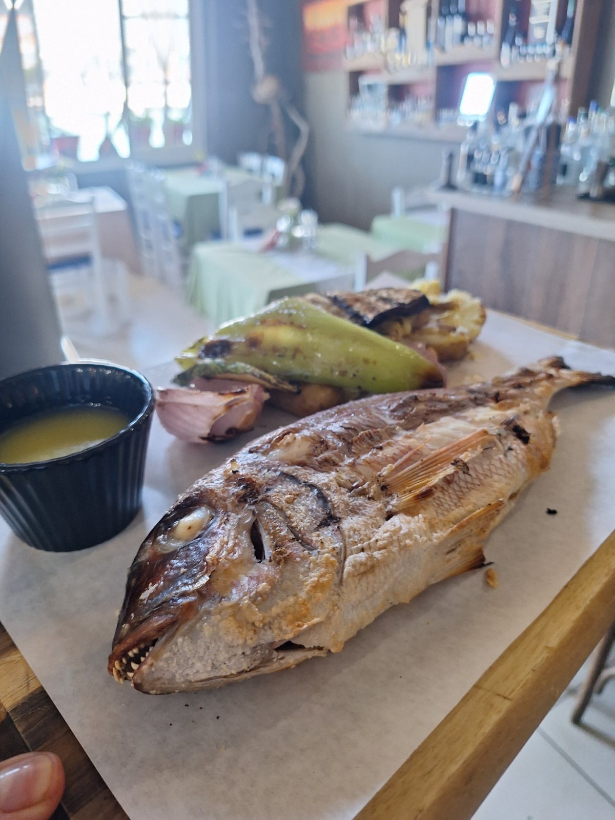 Fresh catch of the day