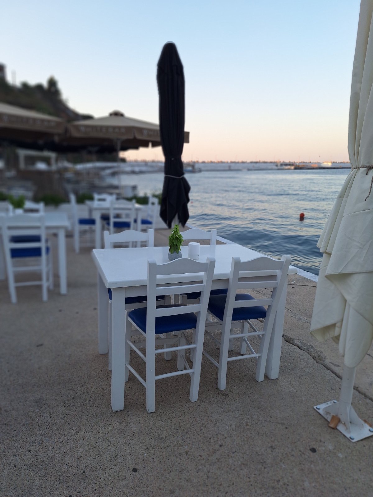 Seaside dining at dusk